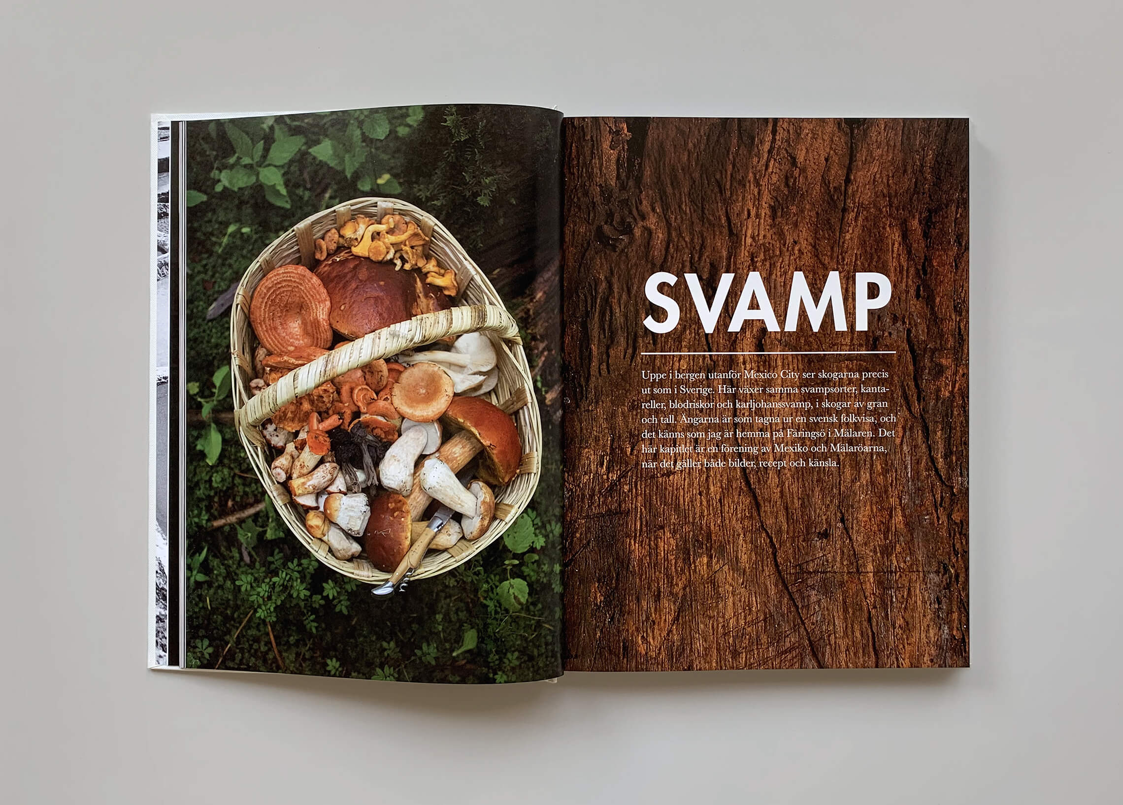 Kapitelstart med titeln "Svamp" i boken "Mest grönt och konsten att koka bläckfisk"