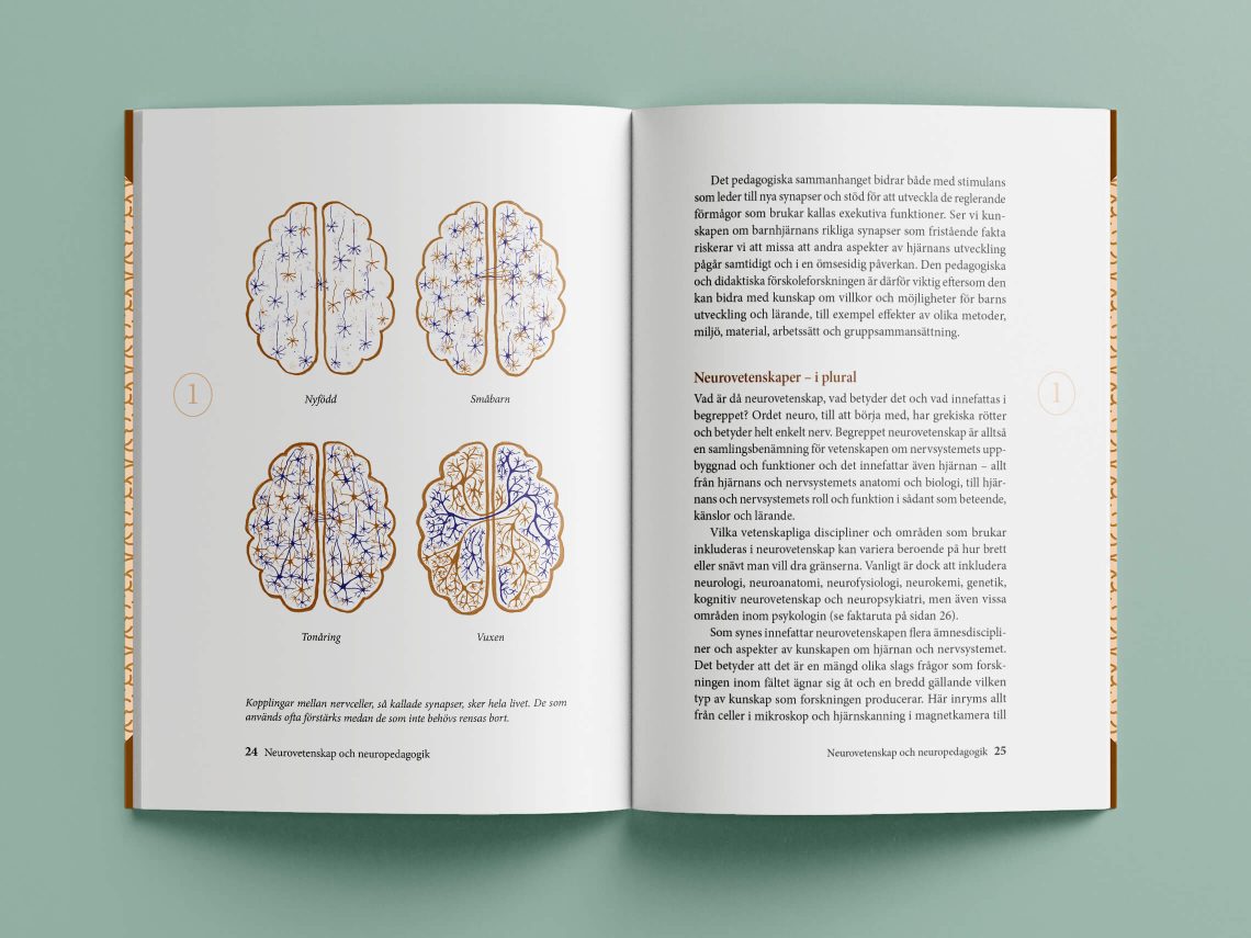 Uppslag med illustration på hjärnor från boken "Neuropedagogik i förskolan"